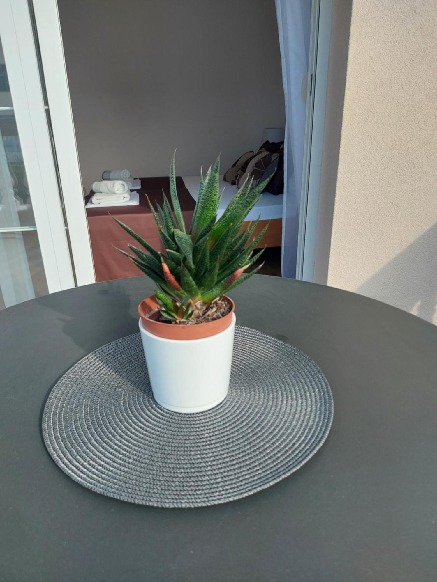 Apartmani Delac Водице Номер фото
